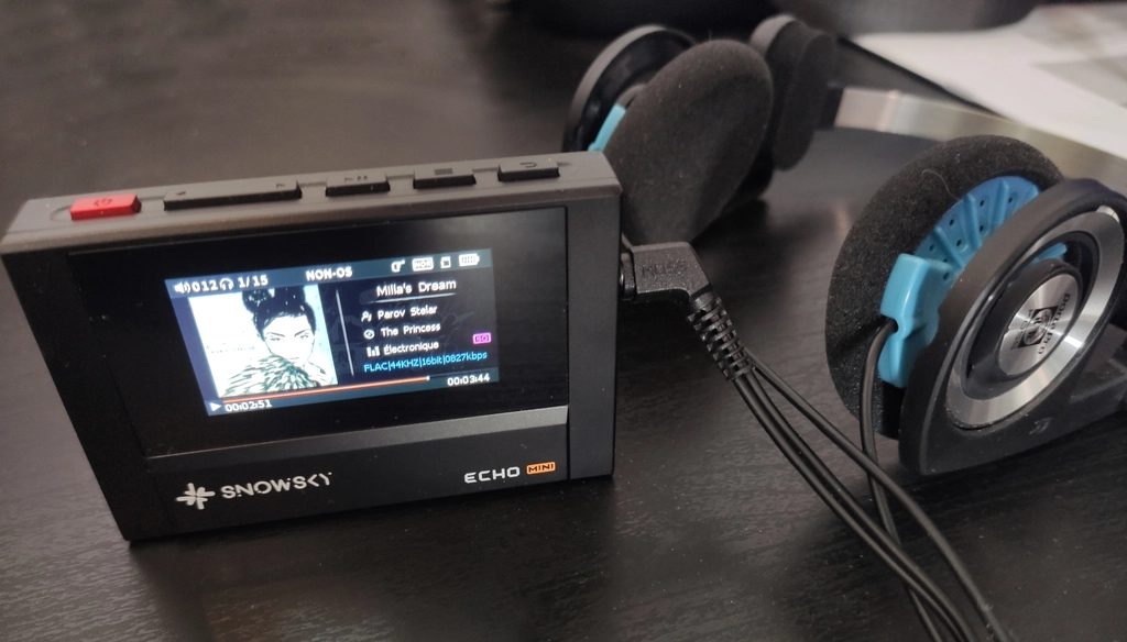 Echo mini (DAP)plus portapros (headphones)